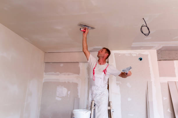 Best Eco-Friendly and Low-VOC Painting  in La Porte, IN